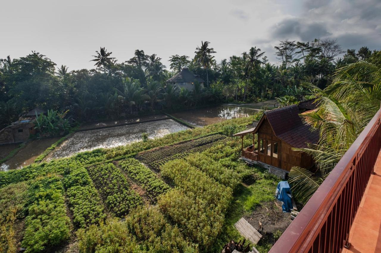 Kemangi, Katik Lantang, Ubud, Bali Apartment Екстериор снимка