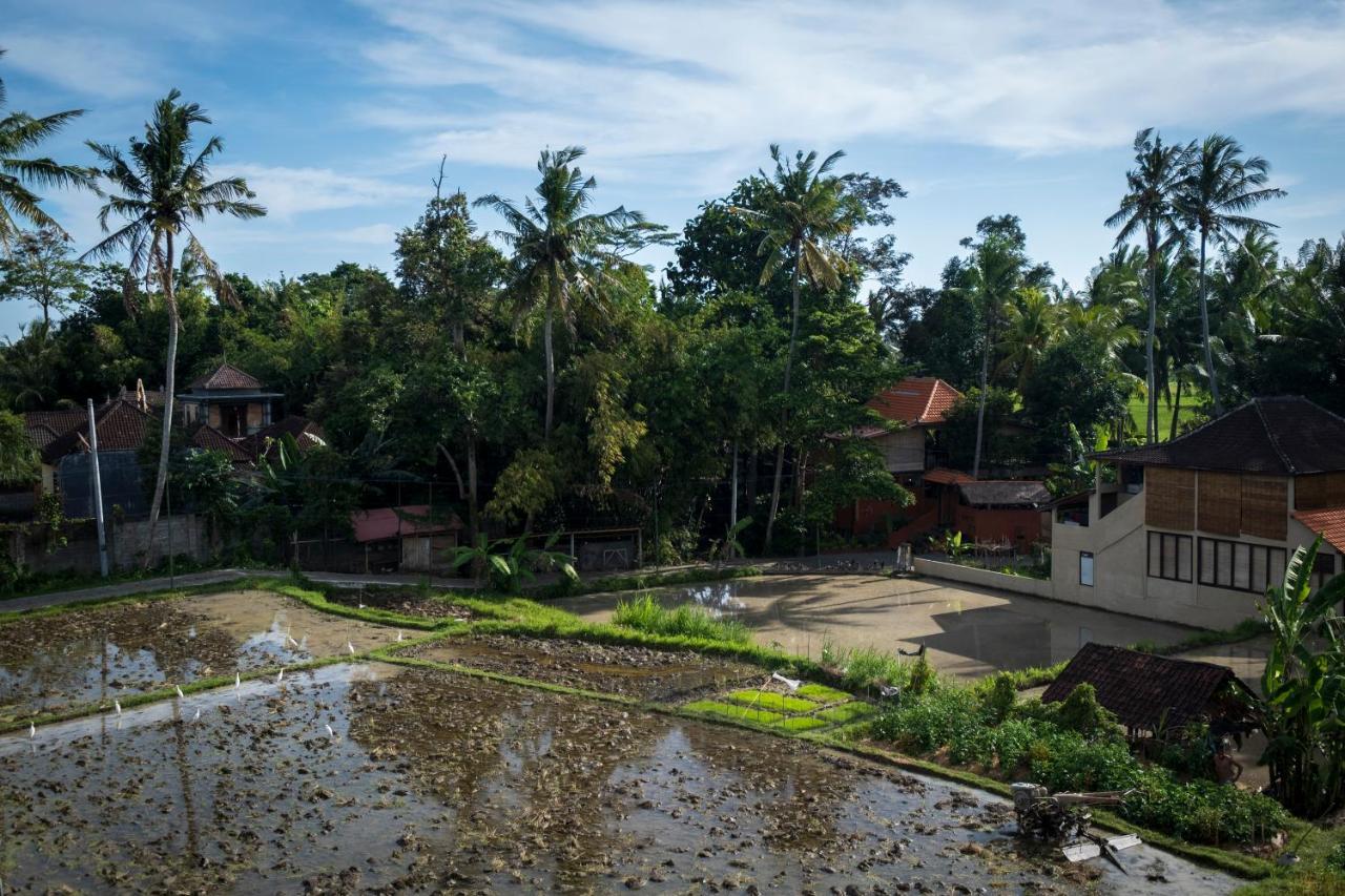 Kemangi, Katik Lantang, Ubud, Bali Apartment Екстериор снимка